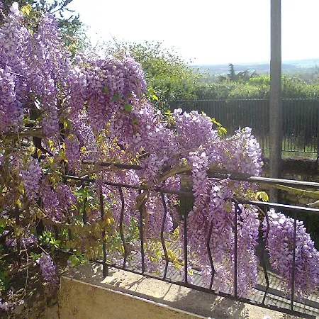 Manoir Le Cristal - Jusqu'Au 3 Avril Futuroscope A 28 Euros - Pers Bed & Breakfast