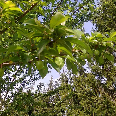 B&B Manoir Le Cristal - Jusqu'Au 3 Avril Futuroscope A 28 Euros - Pers