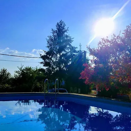 B&B Manoir Le Cristal - Jusqu'Au 3 Avril Futuroscope A 28 Euros - Pers 4*