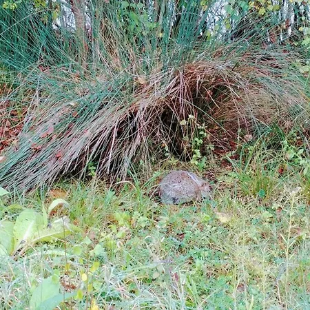 Manoir Le Cristal - Jusqu'Au 3 Avril Futuroscope A 28 Euros - Pers Beaumont (Vienne)
