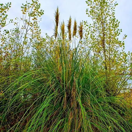 Bed & Breakfast Manoir Le Cristal - Jusqu'Au 3 Avril Futuroscope A 28 Euros - Pers