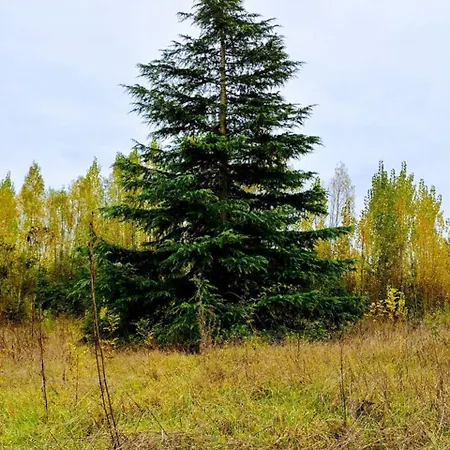 Manoir Le Cristal - Jusqu'Au 3 Avril Futuroscope A 28 Euros - Pers 4*