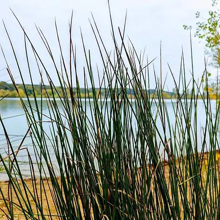 Manoir Le Cristal - Jusqu'Au 3 Avril Futuroscope A 28 Euros - Pers Beaumont (Vienne)