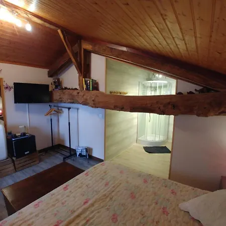 Manoir Le Cristal - Jusqu'Au 3 Avril Futuroscope A 28 Euros - Pers B&B Beaumont (Vienne)